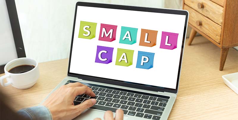 small-cap-mutual-funds